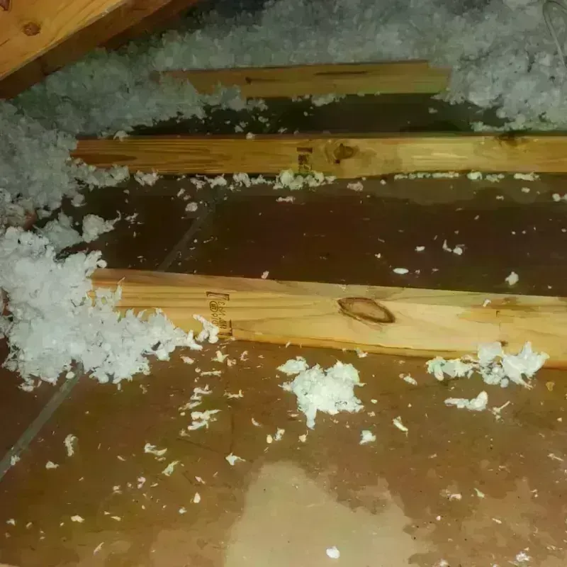 Attic Water Damage in Novi, MI