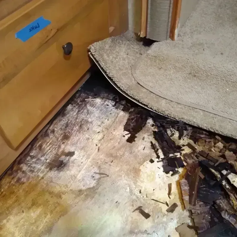 Best Wood Floor Water Damage Service in Novi, MI